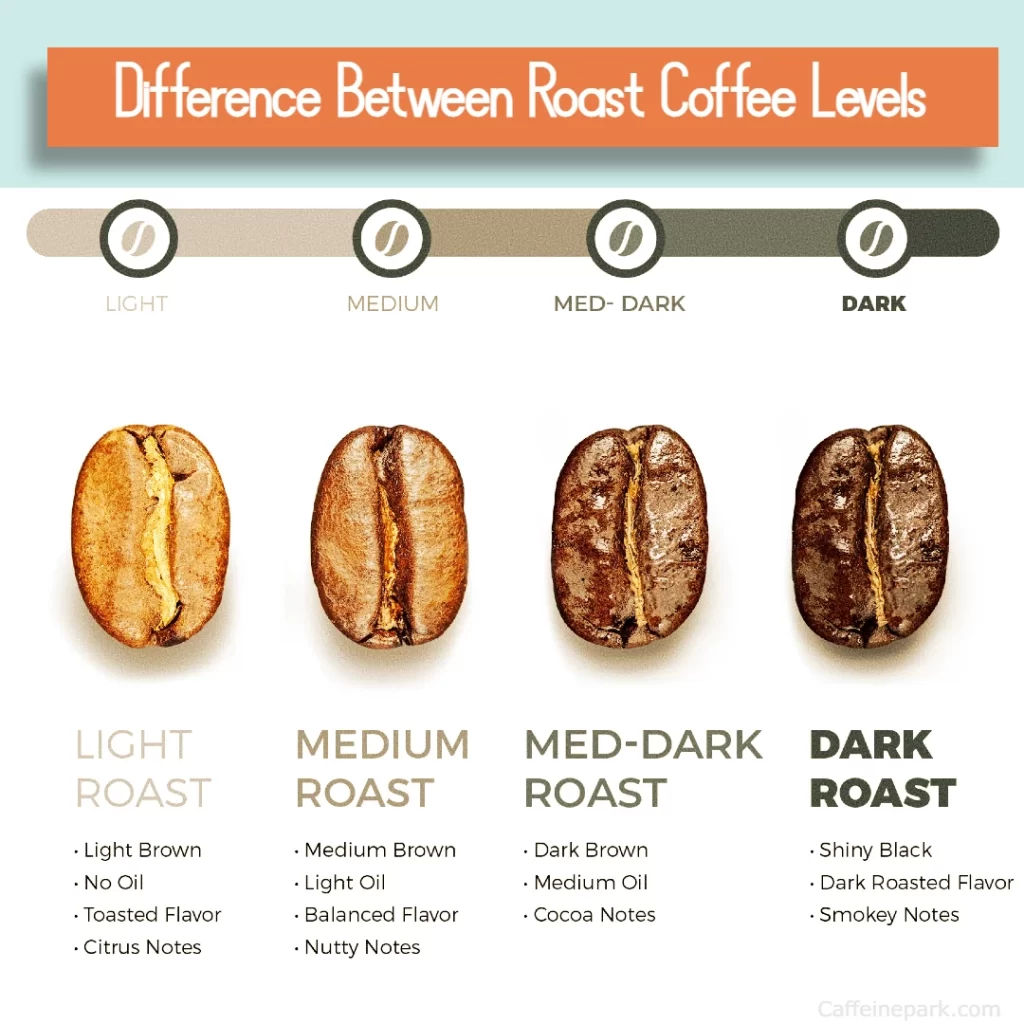 Light Roast vs. Dark Roast Coffee: Nutrition and Caffeine