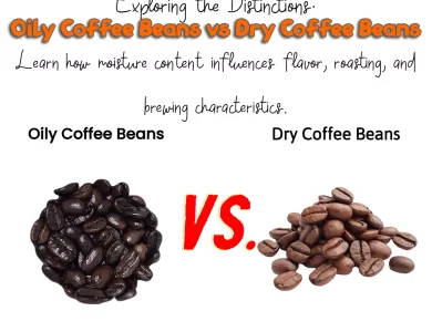 Oily Coffee Beans vs Dry Coffee Beans